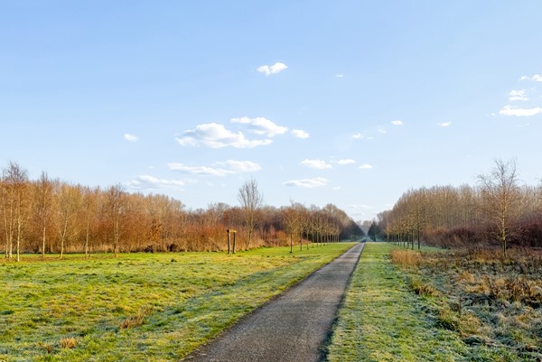 SCANDINAVIEKADE 179-67.jpg